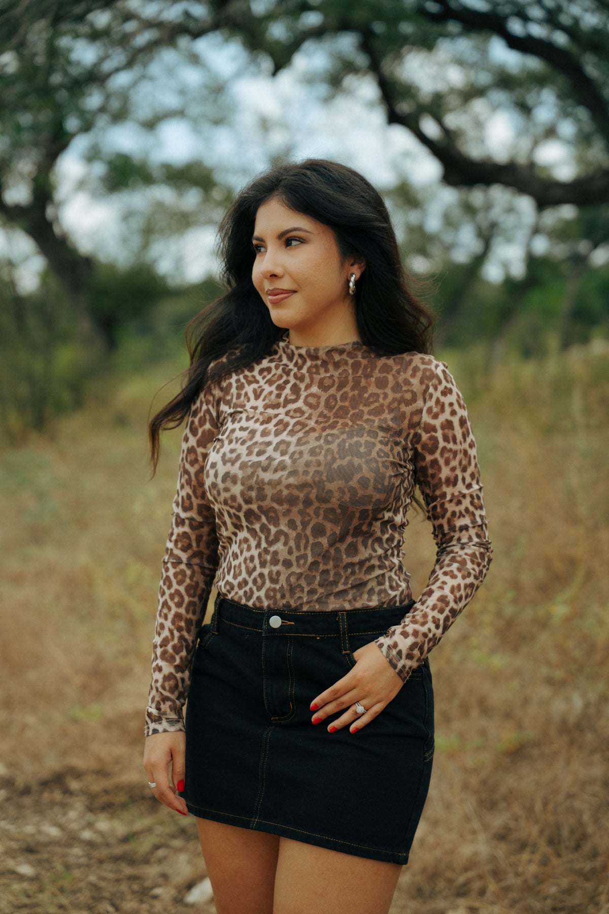 Leopard Print Mesh Long Sleeve Top