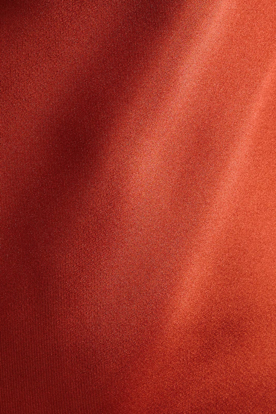 Burnt Orange Long Sleeve Satin Mini Dress with Late Trim and Bow