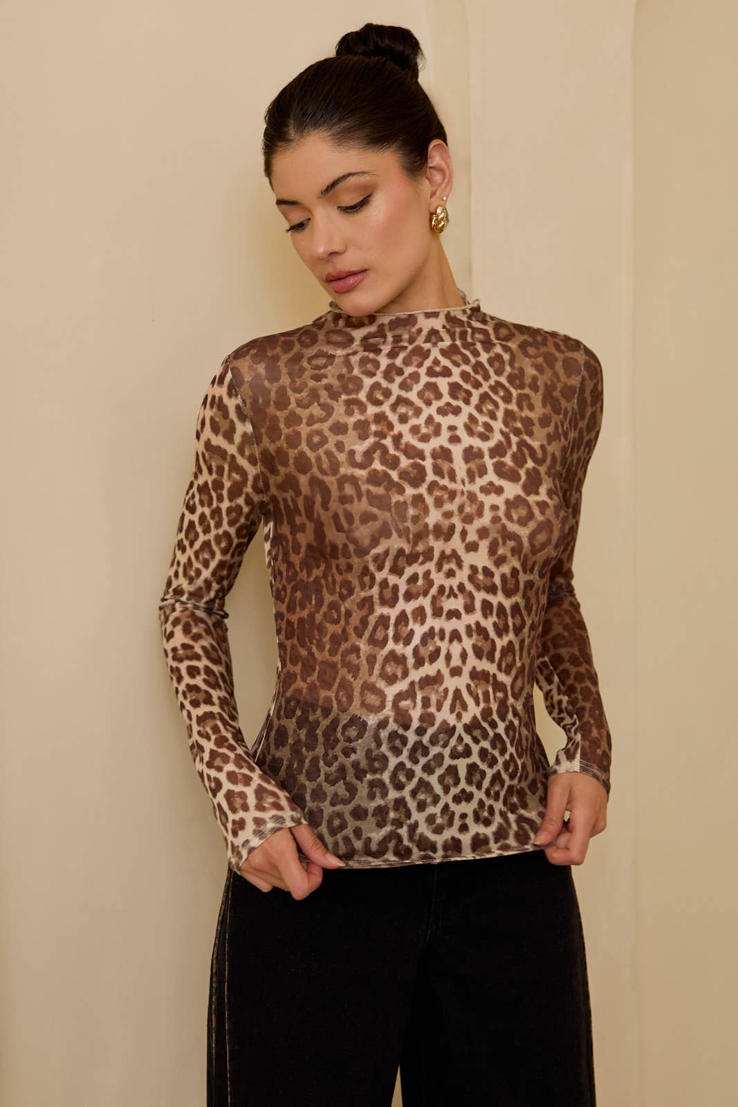 Leopard Print Mesh Long Sleeve Top