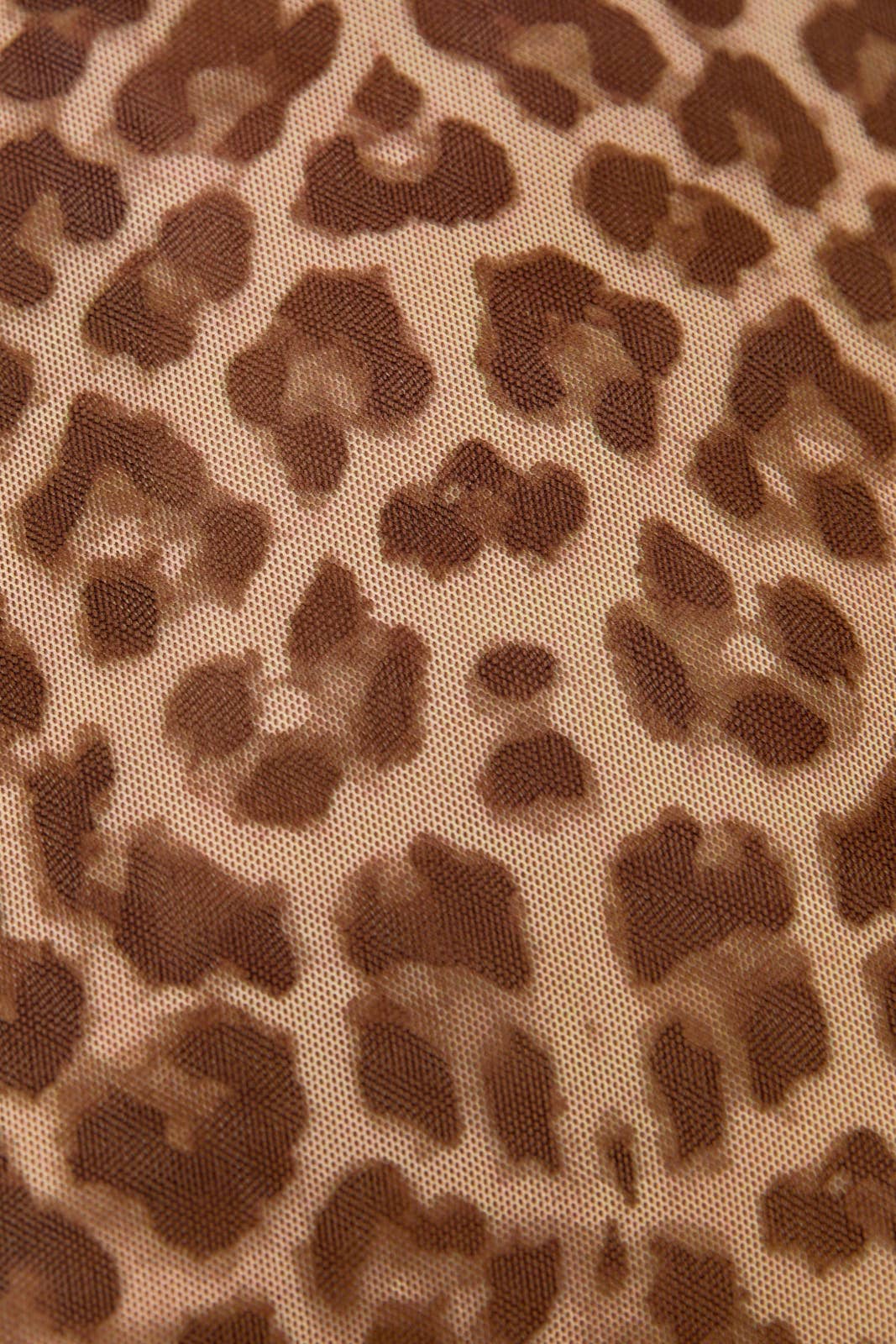 Leopard Print Mesh Long Sleeve Top