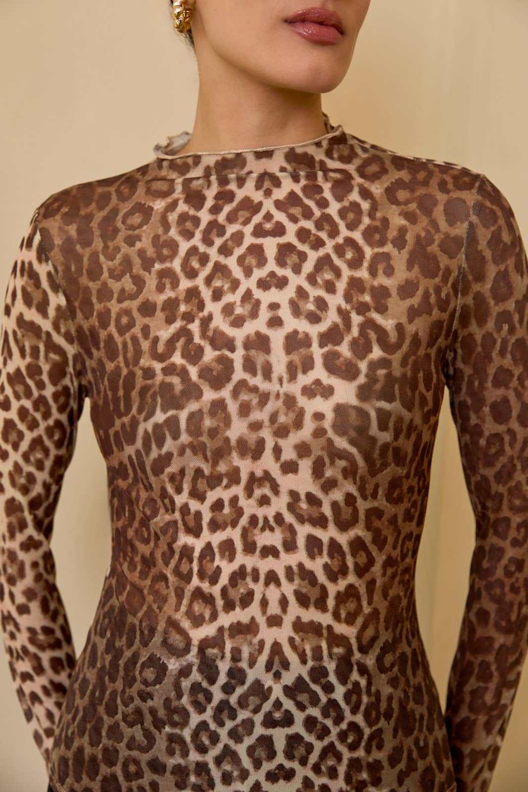 Leopard Print Mesh Long Sleeve Top